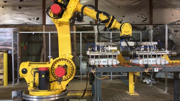 Used Fanuc palletizing robots and robotic cells for sale